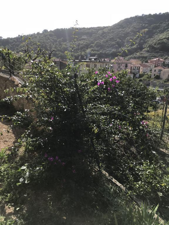Appartamento Alessandra Finale Ligure Exterior photo